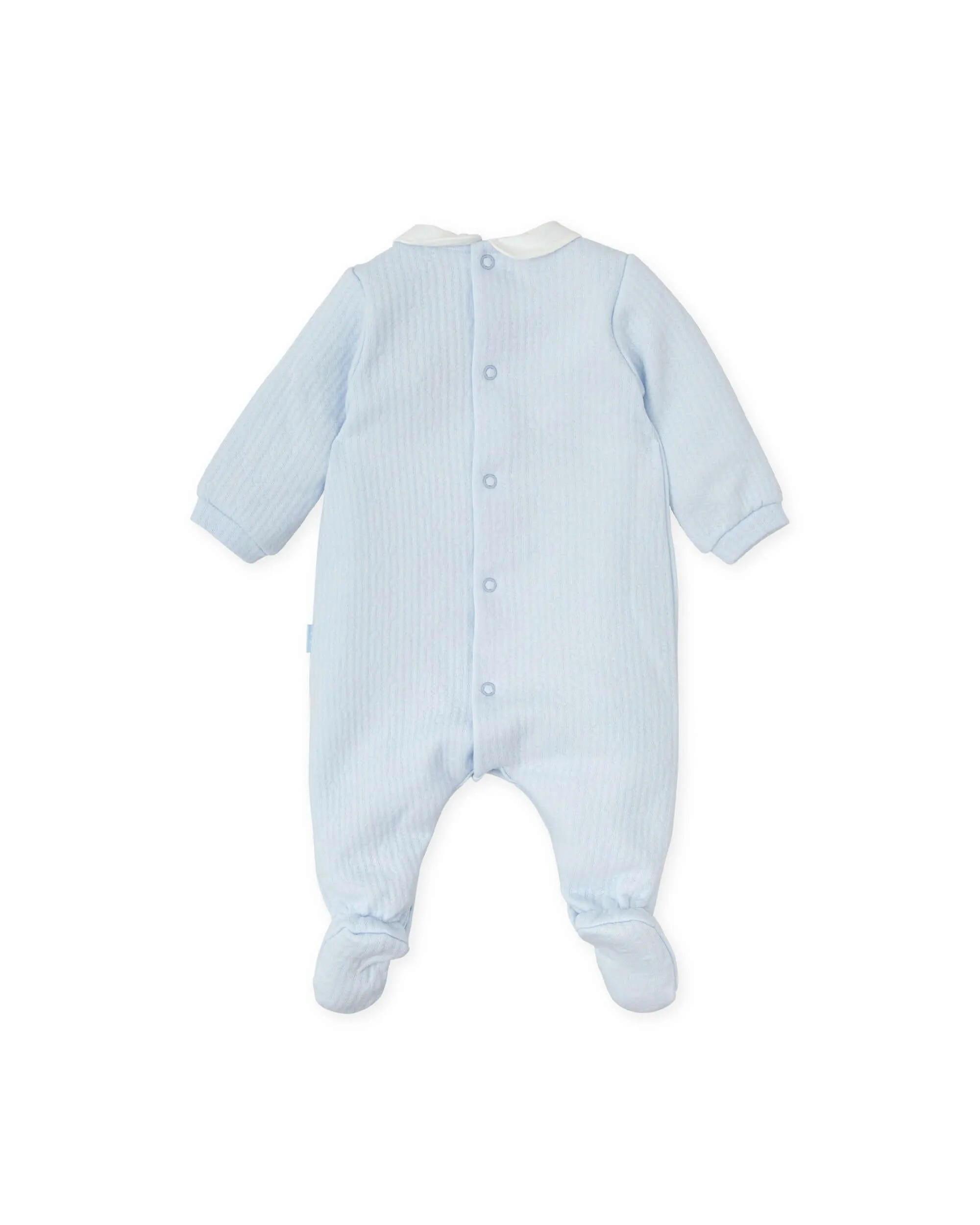 Baby Boys Blauer Babybody