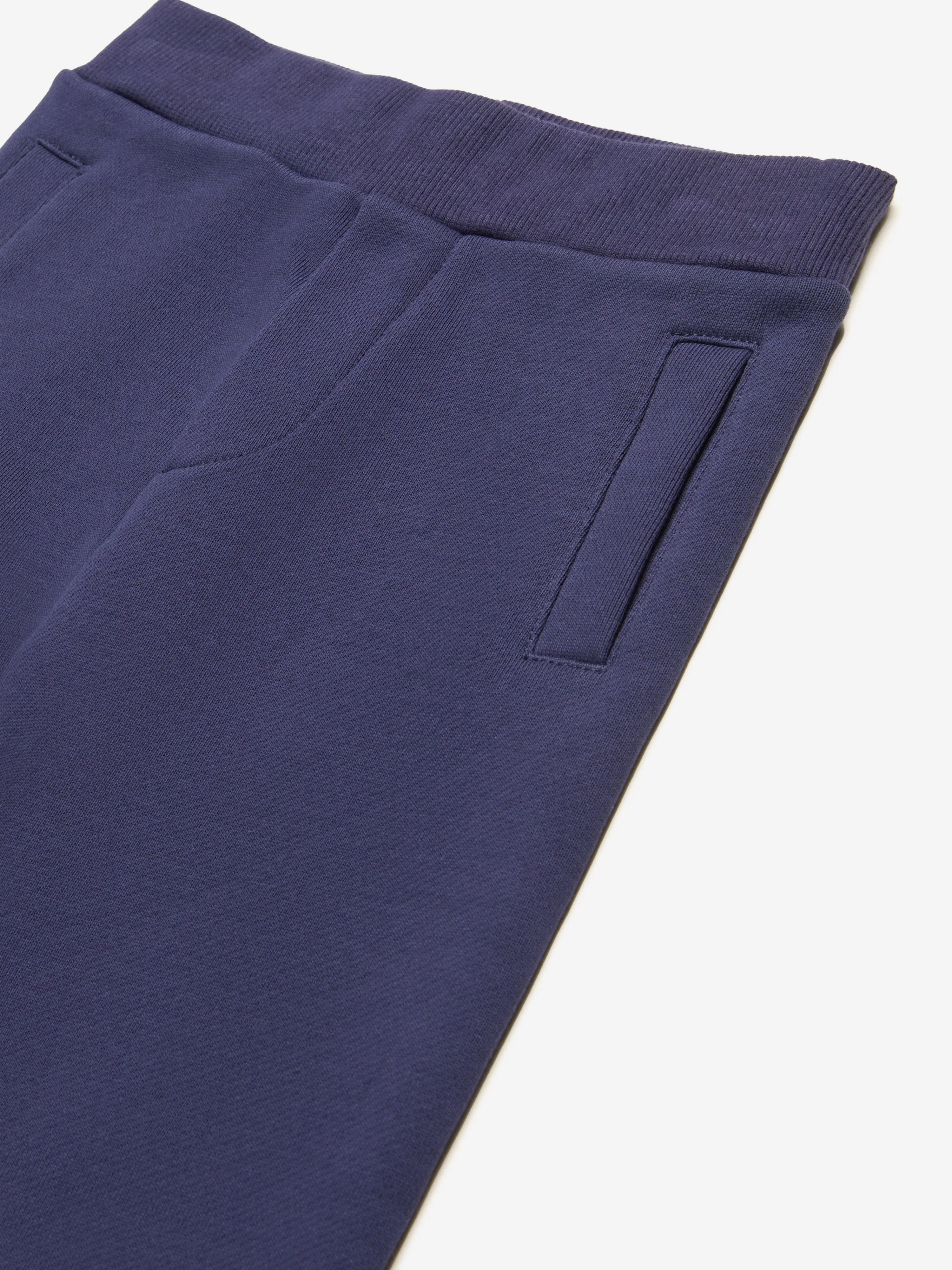 Baby Boys Logo Joggerhose in Navy