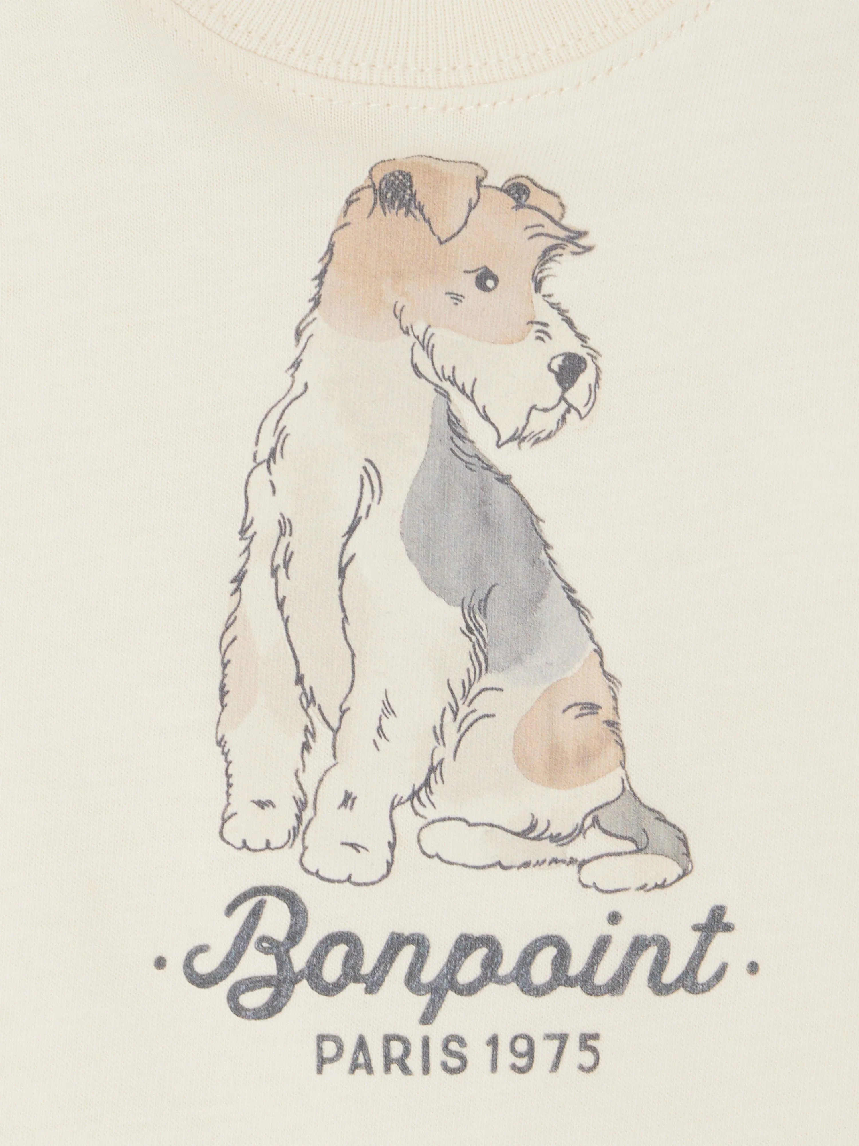 Baby Boys Tom T-Shirt in Elfenbein