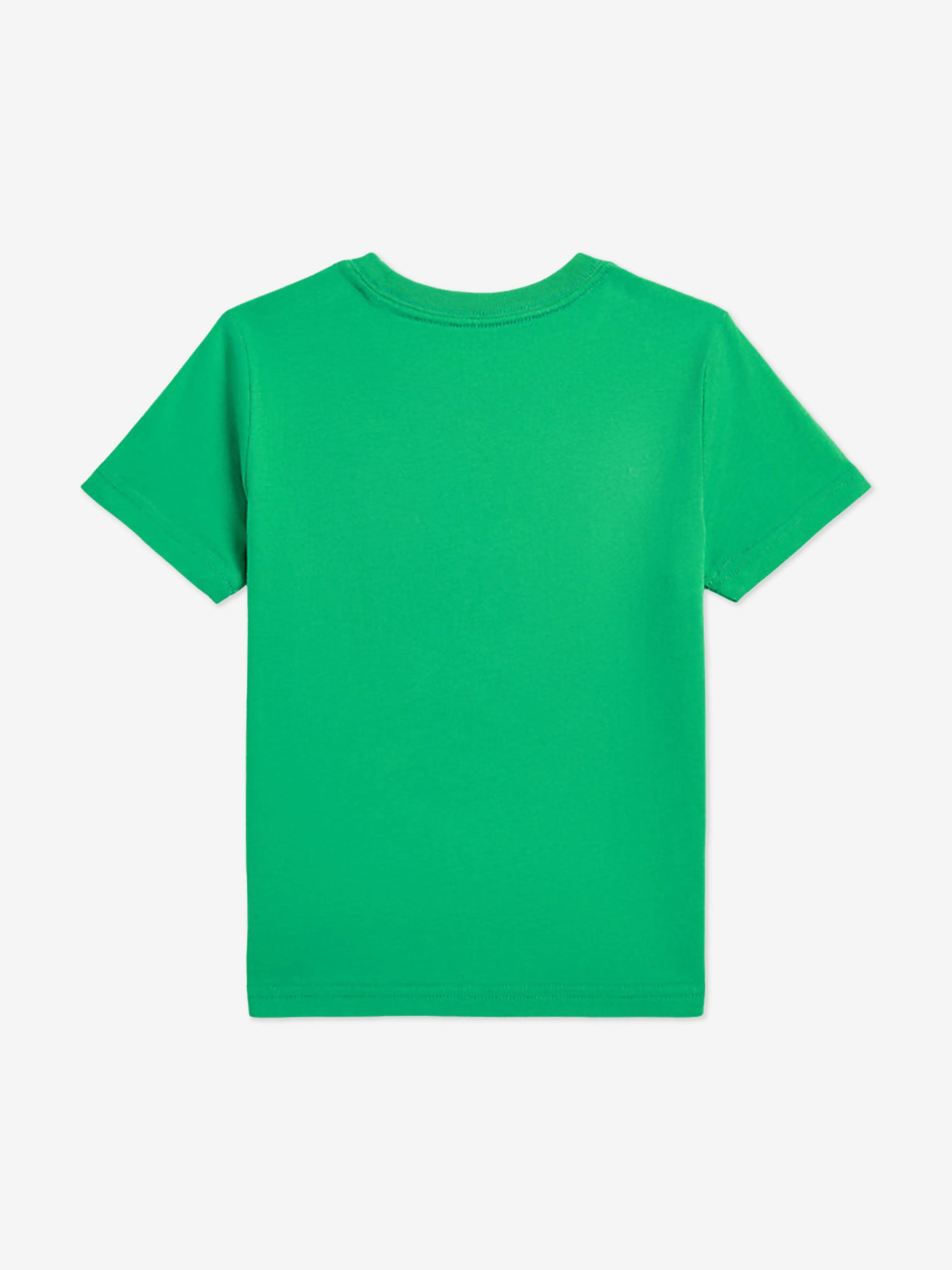 Jungen Polo Bär T-Shirt in Grün