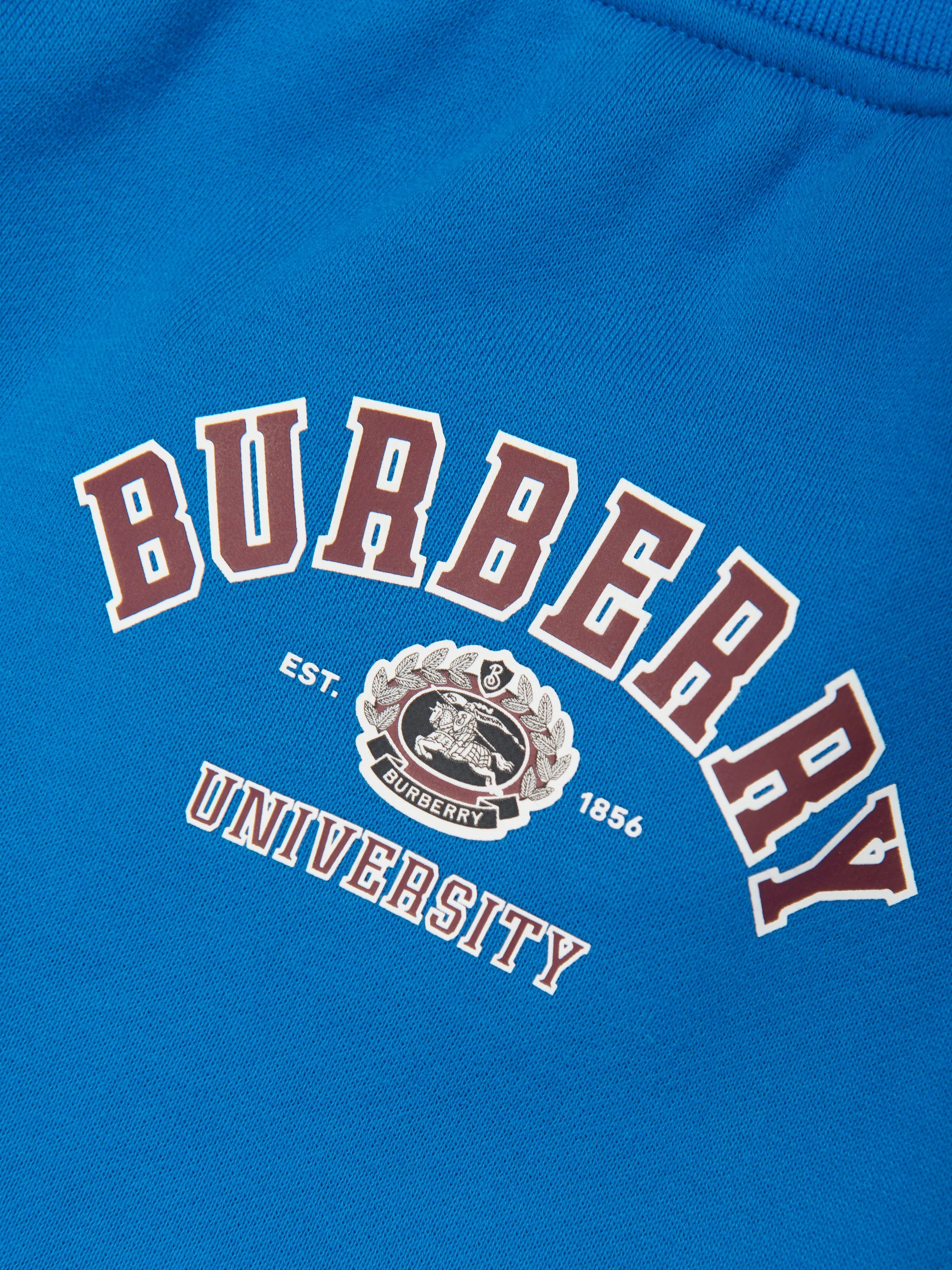 Burberry Baby Boys Sidney College Joggerhose in Blau