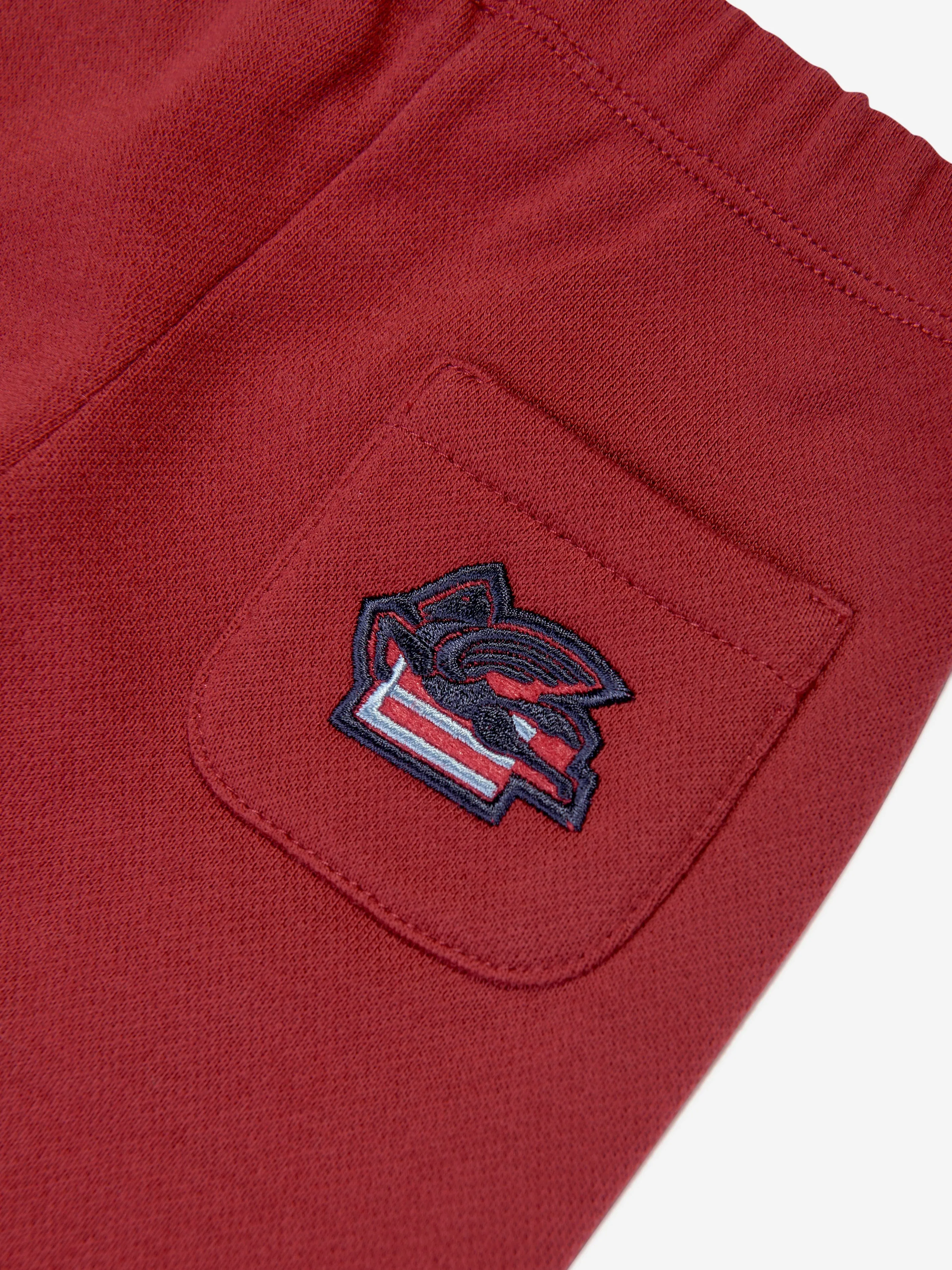 Etro Baby Boys Pegaso Logo Joggerhose in Rot